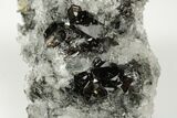 2.2" Gemmy Cassiterite Crystals On Quartz - Viloco Mine, Bolivia - #192170-1